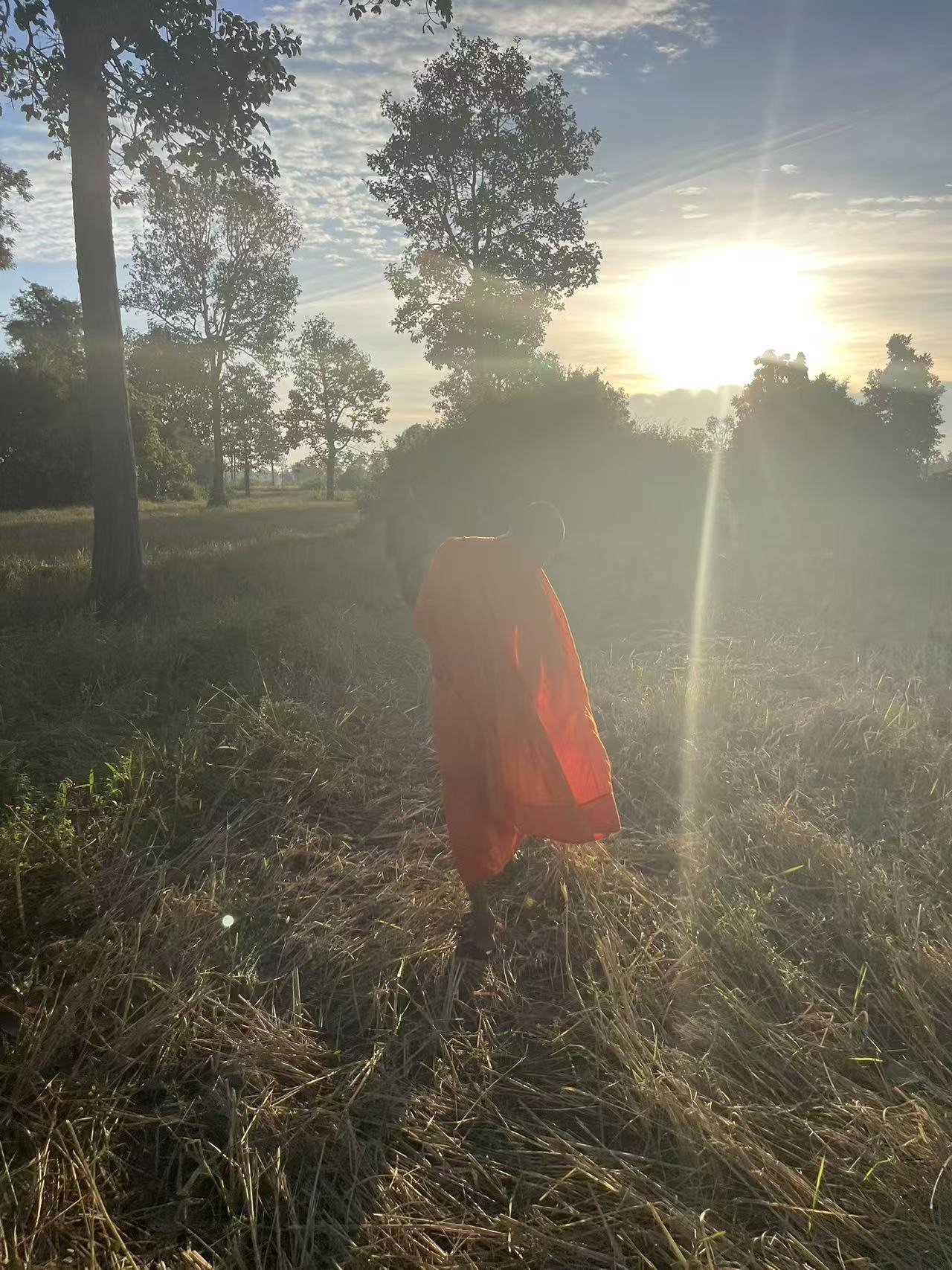 The Sacred and the Mundane: When Faith Walks into the Rice Fields